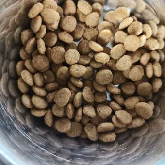 Корм для собак ROYAL CANIN Gastrointestinal low fat мелких пород 3кг: отзыв пользователя. Зоомагазин Зоозавр