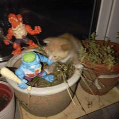 Фото отзыва 10697150