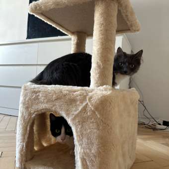 Домик для кошки с когтеточкой Pet БМФ Бежевый: отзыв пользователя. Зоомагазин Зоозавр