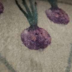 Фото отзыва 11102936