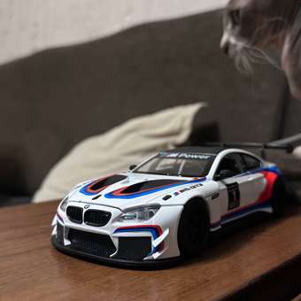 Автомобиль Mobicaro BMW M6 GT3 1:24: отзыв пользователя Детский Мир