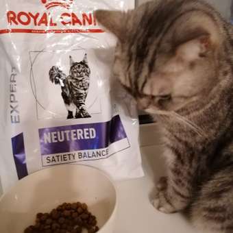 Корм для кошек ROYAL CANIN Neutered Satiety Balance стерилизованных 3.5кг: отзыв пользователя. Зоомагазин Зоозавр