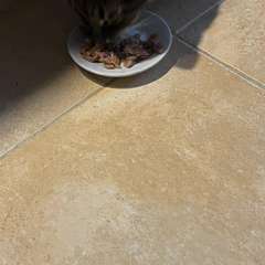 Фото отзыва 10652835