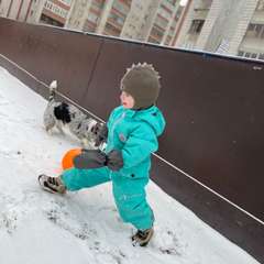 Фото отзыва 3108486