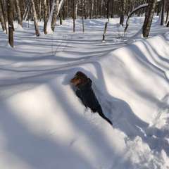 Фото отзыва 11085524