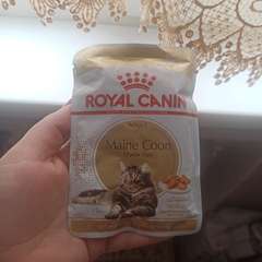 Фото отзыва 10689742