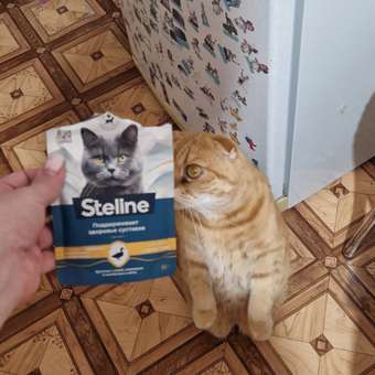 Корм для кошек Steline 85г для стерилизованных утка-морковь-шпинат в желе: отзыв пользователя. Зоомагазин Зоозавр
