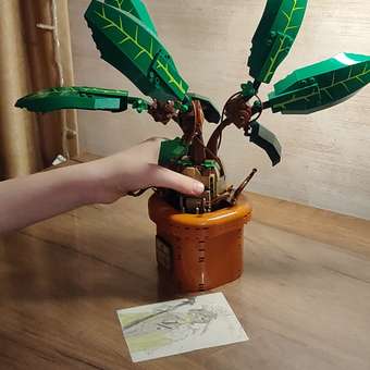 Конструктор LEGO Harry Potter Мандрагора 579 дет.: отзыв пользователя Детский Мир