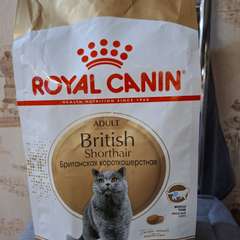 Фото отзыва 10552783