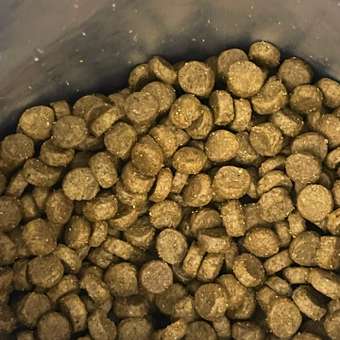 Корм для собак Pet-a-Pet 1кг мелких пород с чувствительным пищеварением с индейкой: отзыв пользователя. Зоомагазин Зоозавр