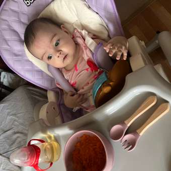 Стульчик для кормления Babyton Purple фиолетовый: отзыв пользователя Детский Мир