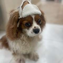 Фото отзыва 10509177