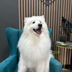 Фото отзыва 10704621