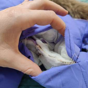 Куртка CASTLELADY: отзыв пользователя Детский Мир