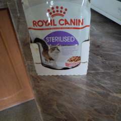 Фото отзыва 10657286