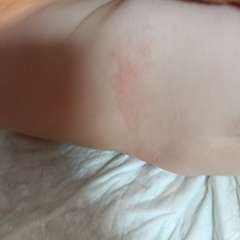 Фото отзыва 10442498