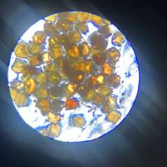 Фото отзыва 11307979