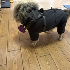 Фото отзыва 11173963