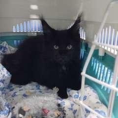 Фото отзыва 10669744