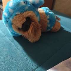 Фото отзыва 11296432