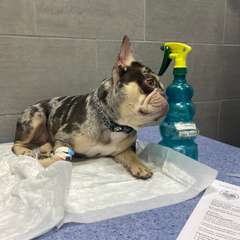 Фото отзыва 10819331