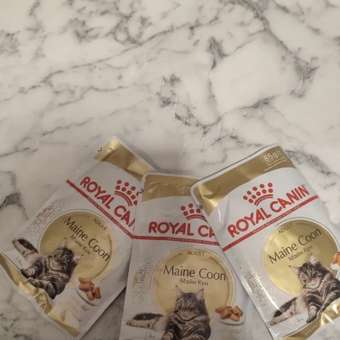 Корм для кошек ROYAL CANIN Мейн кун соус 85г: отзыв пользователя. Зоомагазин Зоозавр