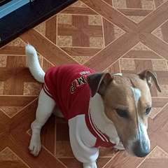 Фото отзыва 11171427