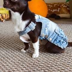 Фото отзыва 11078902