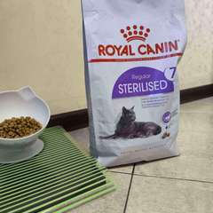 Фото отзыва 10978628