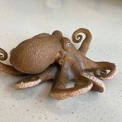 Фото отзыва 4742674