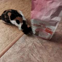 Фото отзыва 10920068