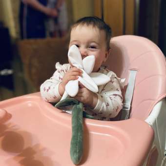 Фигурка-игрушка FUTURINO Home Ромашка: отзыв пользователя Детский Мир