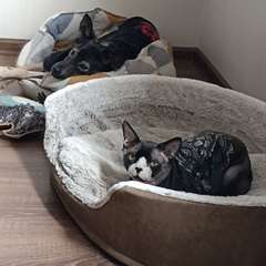 Фото отзыва 11035026