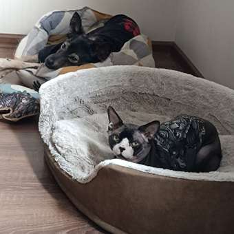 Лежанка Barbaks Шубка L 70*54*20см: отзыв пользователя. Зоомагазин Зоозавр