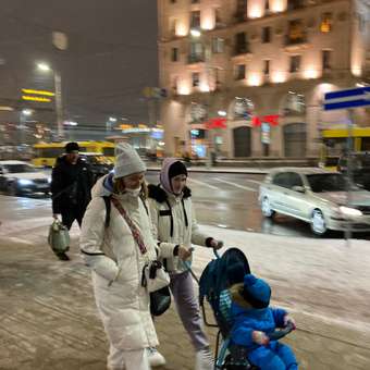 Коляска прогулочная Babyton Zoo Blue: отзыв пользователя ДетМир