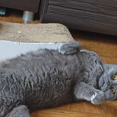 Фото отзыва 10782472