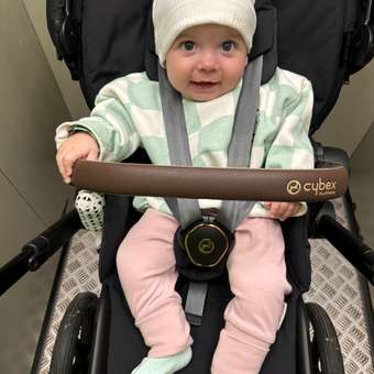 Свитшот Baby Gо: отзыв пользователя Детский Мир