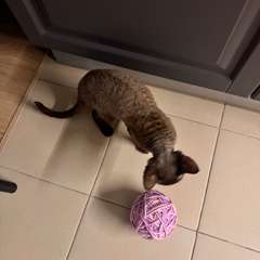 Фото отзыва 11121464