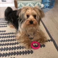 Фото отзыва 11179948