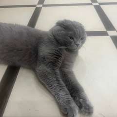 Фото отзыва 10962090