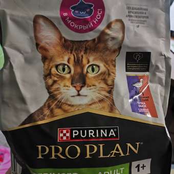 Корм сухой для кошек PRO PLAN SAVOURY DUO 1.5 кг с уткой и печенью для стерилизованных: отзыв пользователя. Зоомагазин Зоозавр