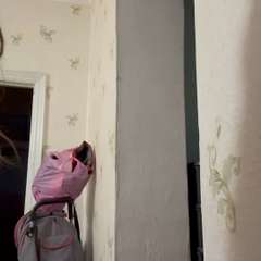 Видео отзыва 11630008