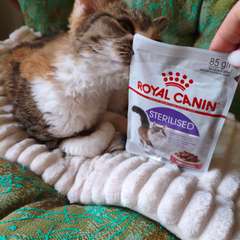 Фото отзыва 10531802