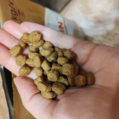 Фото отзыва 10533443