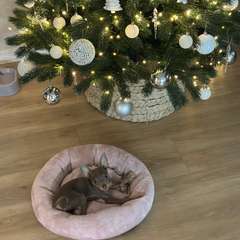 Фото отзыва 10793717