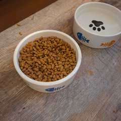 Фото отзыва 10790702