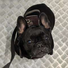 Фото отзыва 10925518