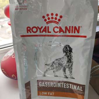 Корм для собак ROYAL CANIN Gastro Intestinal Low Fat LF22 при нарушении пищеварения с ограниченным содержанием жиров 1.5кг: отзыв пользователя. Зоомагазин Зоозавр