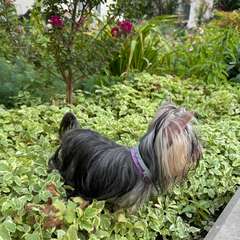 Фото отзыва 11266759