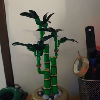Конструктор LEGO Botanicals Бамбук Символ удачи 325 дет.: отзыв пользователя Детский Мир